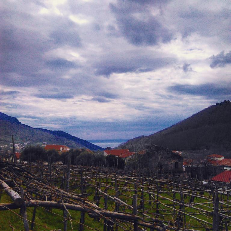 Penzion Agriturismo Mare E Monti Tramonti Exteriér fotografie