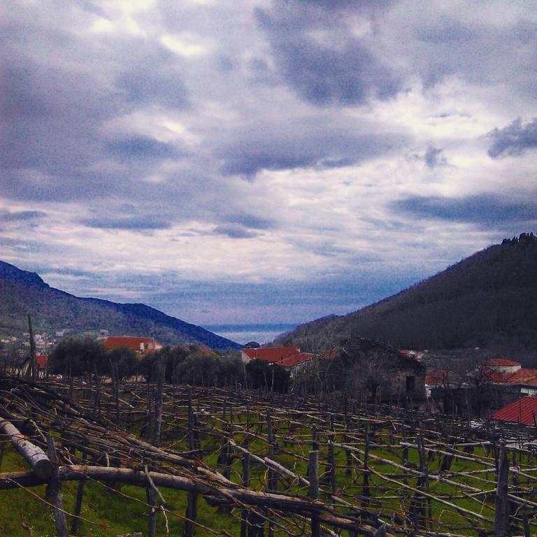 Agriturismo Mare E Monti Tramonti Exteriér fotografie
