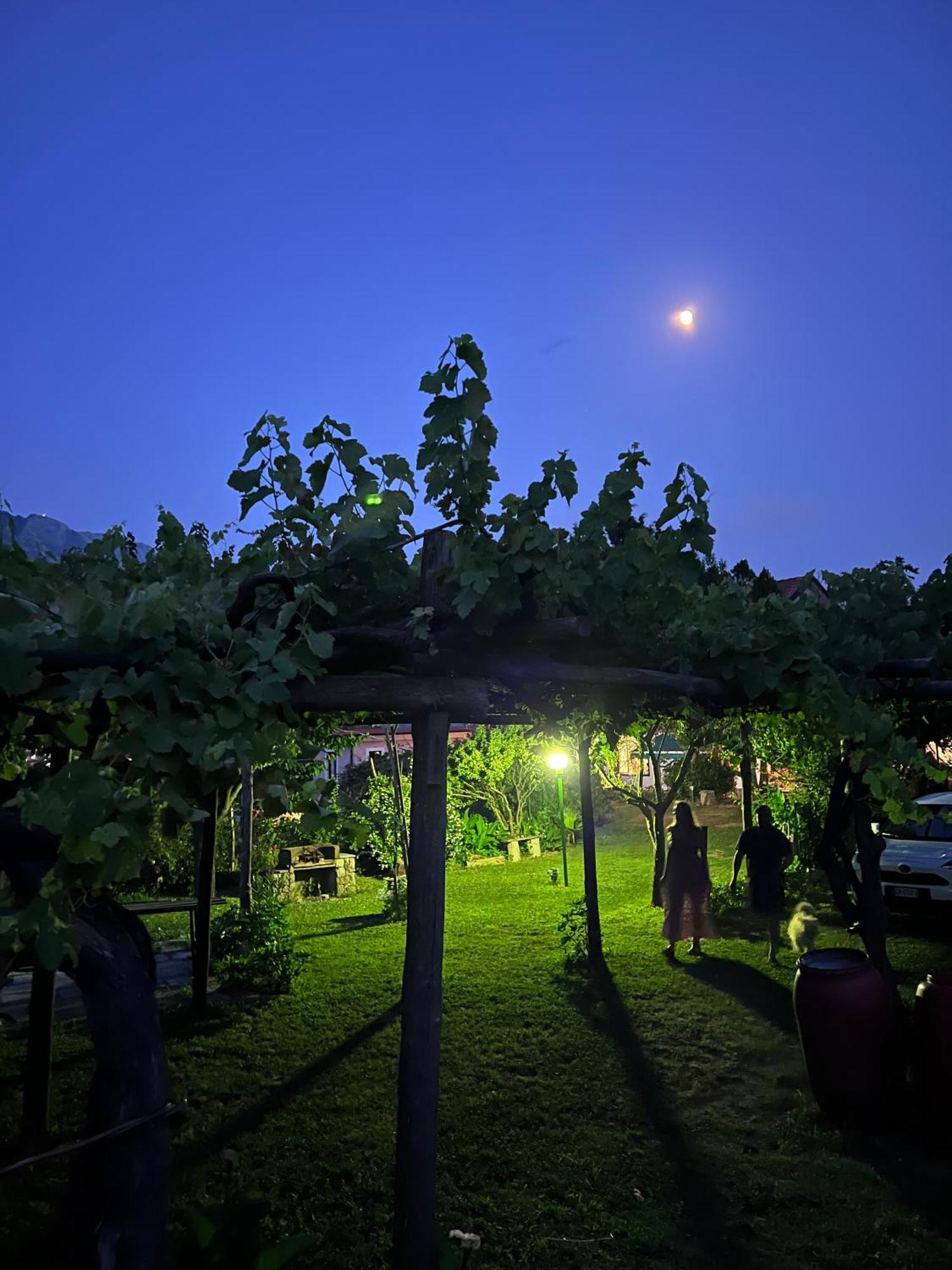 Penzion Agriturismo Mare E Monti Tramonti Exteriér fotografie