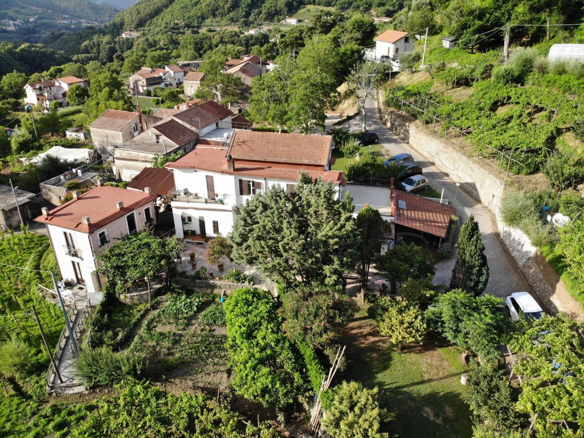 Penzion Agriturismo Mare E Monti Tramonti Exteriér fotografie