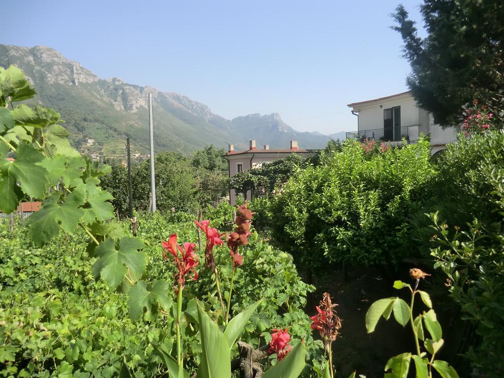 Agriturismo Mare E Monti Tramonti Exteriér fotografie