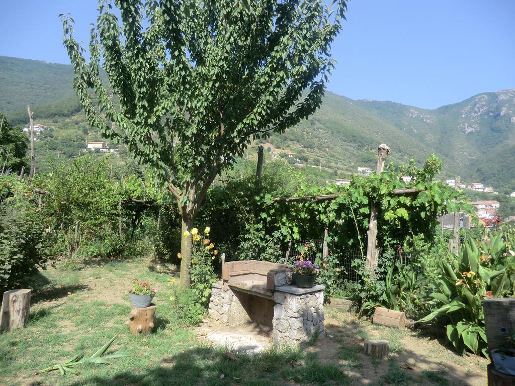 Agriturismo Mare E Monti Tramonti Exteriér fotografie