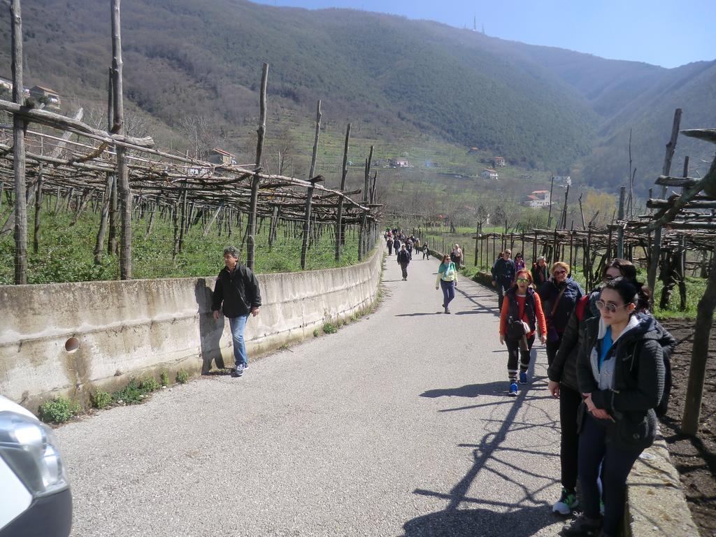 Penzion Agriturismo Mare E Monti Tramonti Exteriér fotografie