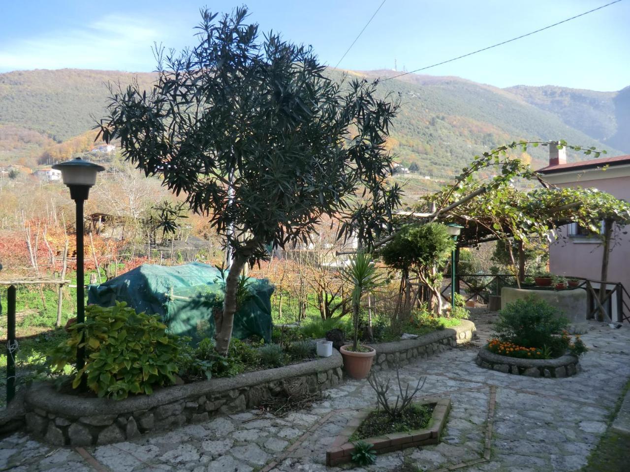 Penzion Agriturismo Mare E Monti Tramonti Exteriér fotografie